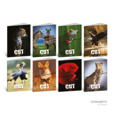 BLASETTI ANIMAL CUT QUADERNO GRANDE 20 FOGLI 80 GR QUADRETTO -4F- CONF.10 PEZZI