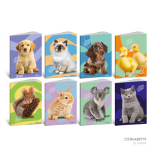 BLASETTI QUADERNO GRANDE 80 GR BEST FRIENDS RIGO -C- CON MARGINE CONF.10 PZ