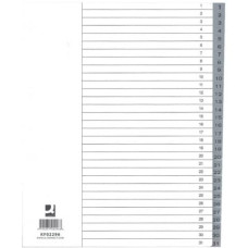 DIVISORE NUMERICO GRIGIO XL 24,5X29,7 CM PPL 1-31 KF02296