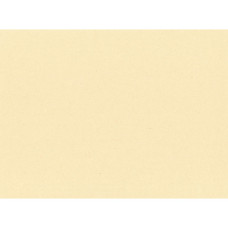 TOVAGLIETTE MONOUSO NAPPAGE IN CARTA PAGLIA 30X40 CM CREMA - CONF. 500 PZ - EYTVT1130 TOVAGLIETTE MONOUSO NAPPAGE IN CARTA PAGLIA 30X40 CM CREMA - CONF. 500 PZ - EYTVT1130