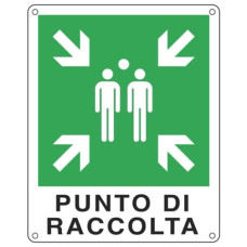 CARTELLO DI EMERGENZA 25X31 CM - CARTELLI SEGNALATORI PUNTO DI RACCOLTA E20153X