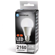 LAMPADINE LED AIGOSTAR A60 E27 6500K LUCE FREDDA 21W - CODICE: 312978 LAMPADINE LED AIGOSTAR A60 E27 6500K LUCE FREDDA 21W - CODICE: 312978