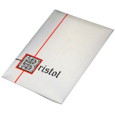 BUSTE CON BIGLIETTO FORMATO 4 (75X110) MM BIANCO CON 500 PZ CONFEZIONATO IN PACCHETTI DA 10