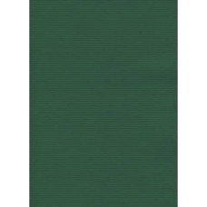 CARTA REGALO 140X100 CONF.10 FOGLI VERDE