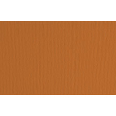 FABRIANO LR CARTONCINO 35X50 CONF.10FG 220GR - TERRA BRUCIATA