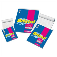 BLASETTI BRISTOL BLOCK NOTES CON A5 QUADRETTO 05