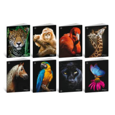 BLASETTI ANIMAL CONF. 10 QUADERNI A4 20 FOGLI 100 GR QUADRETTO -10M-