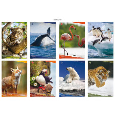 BLASETTI ANIMALI QUADERNO GRANDE 20 FOGLI 100GR QUADRETTO -4F- 4MM CON MARGINE 4M CONF.10 PEZZI