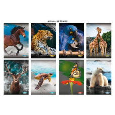 MAXI QUADERNO BLASETTI ANIMALI A4 18+1 FOGLI CARTA 100 G/M²