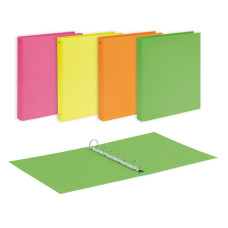 RACCOGLITORI NEON 4 ANELLI TONDI Ø 30 FORMATO 22X30 CM – SET 10 PEZZI IN COLORI FLUO ASSORTITI
