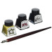 SET CALLIGRAFIA WINSOR NEWTON 10 PEZZI SOGGETTI ASSORTITI