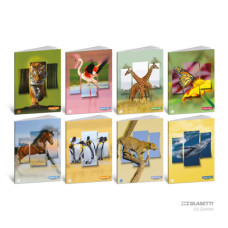 BLASETTI ANIMALI QUADERNO GRANDE 20 FOGLI 100 GR -C- RIGHE CON MARGINE CONF.10 PEZZI