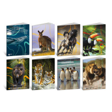 BLASETTI ANIMALI QUADERNO GRANDE 20 FOGLI 80 GR QUADRETTO -10M- CONF.10 PEZZI