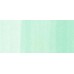 COPIC CIAO PANTONE PENNARELLO SUPER BRUSH E MEDIUM BROAD G00 JADE GREEN