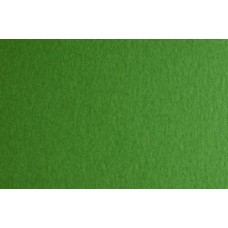 FABRIANO CARTONCINO 50X70 CONF.20FG 200GR. VERDE